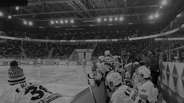 Gottéron s'incline à Bienne