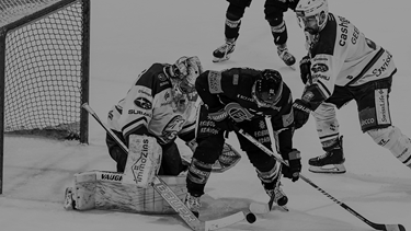 Les Lions remportent le premier match