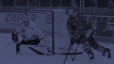 Les Dragons muets à Rapperswil