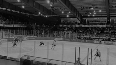 Défaite des dragons à Genève