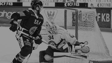 Gottéron enchaine contre Genève