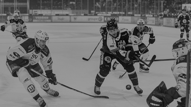 Gottéron arrache deux points contre Zurich