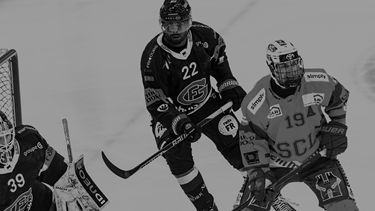 Gottéron s'incline contre Langnau