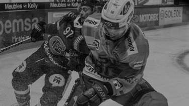 Les Dragons s'inclinent face à Langnau
