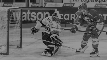 Les Dragons ramènent 3 points de Rapperswil