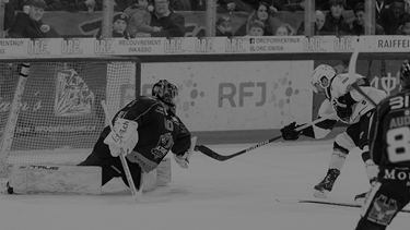 Reprise victorieuse pour nos Dragons contre Ajoie