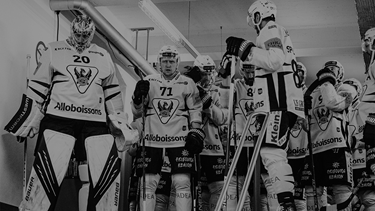 Fin de saison pour nos dragons
