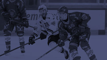 Défaite de Gottéron à Langnau