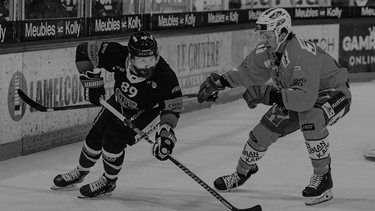 Victoire des dragons face à Langnau
