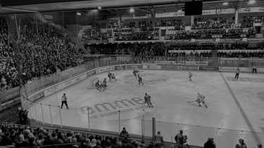 Gottéron s'incline à Langnau