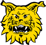 Ilves Tampere