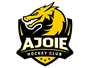 HC Ajoie